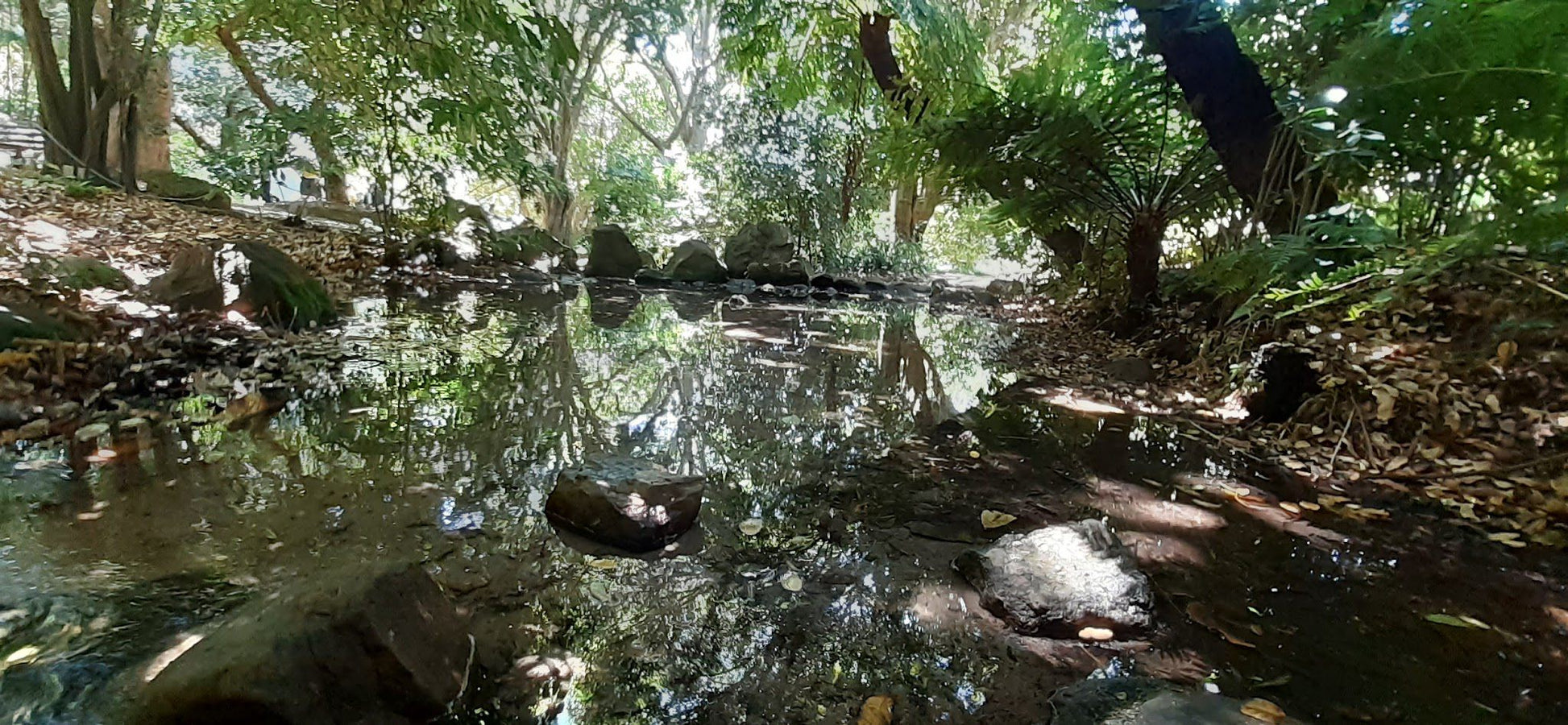  Colonel Bird's Bath