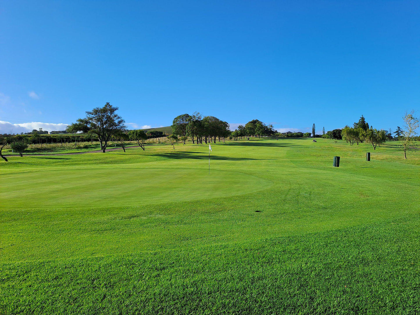 Complementary Colors, Ball Game, Sport, Golfing, Colorful, Devonvale Golf & Wine Estate, Bottelary Rd, Devonvale Golf & Wine Estate, Stellenbosch, 7600