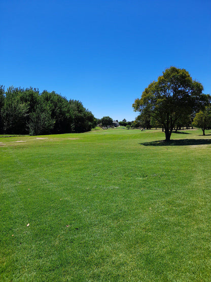 Complementary Colors, Ball Game, Sport, Golfing, Colorful, Modderfontein Golf Club, 1 Centenary St, Modderfontein, Johannesburg, 1609