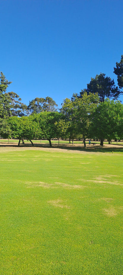 Complementary Colors, Ball Game, Sport, Golfing, Colorful, Stellenbosch Golf Club, Strand Rd, Stellenbosch, 7599