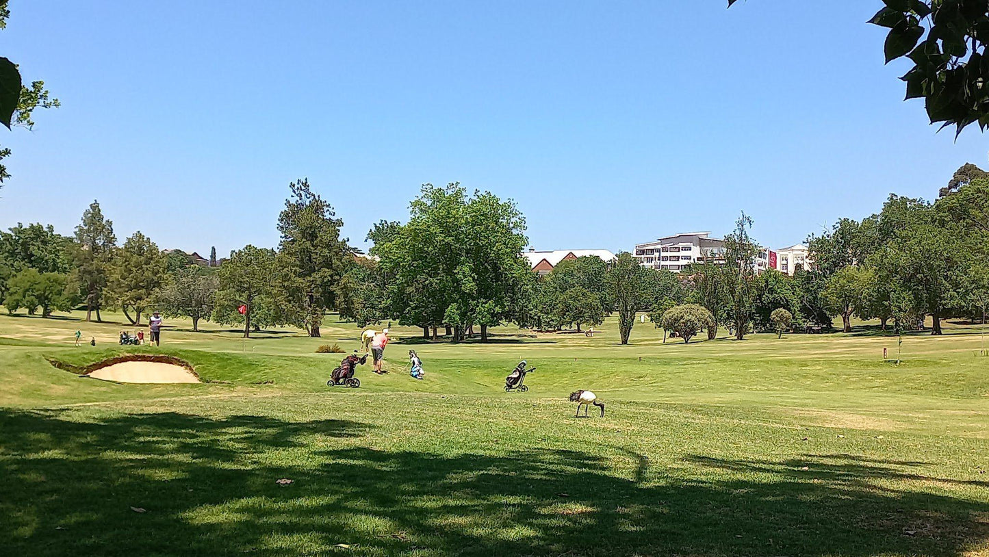 Complementary Colors, Ball Game, Sport, Golfing, Colorful, The Wanderers Golf Club, Rudd Rd, Illovo, Johannesburg, 2116