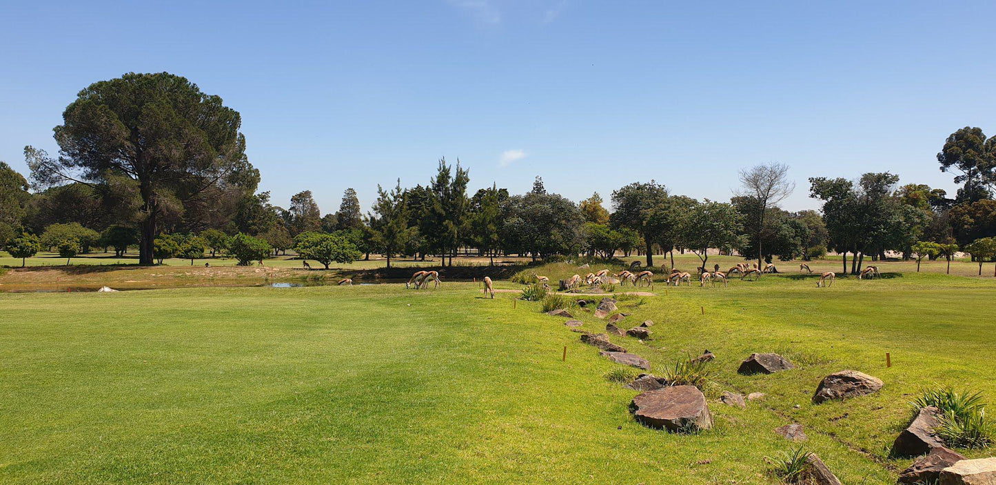 Complementary Colors, Ball Game, Sport, Golfing, Devonvale Golf & Wine Estate, Bottelary Rd, Devonvale Golf & Wine Estate, Stellenbosch, 7600