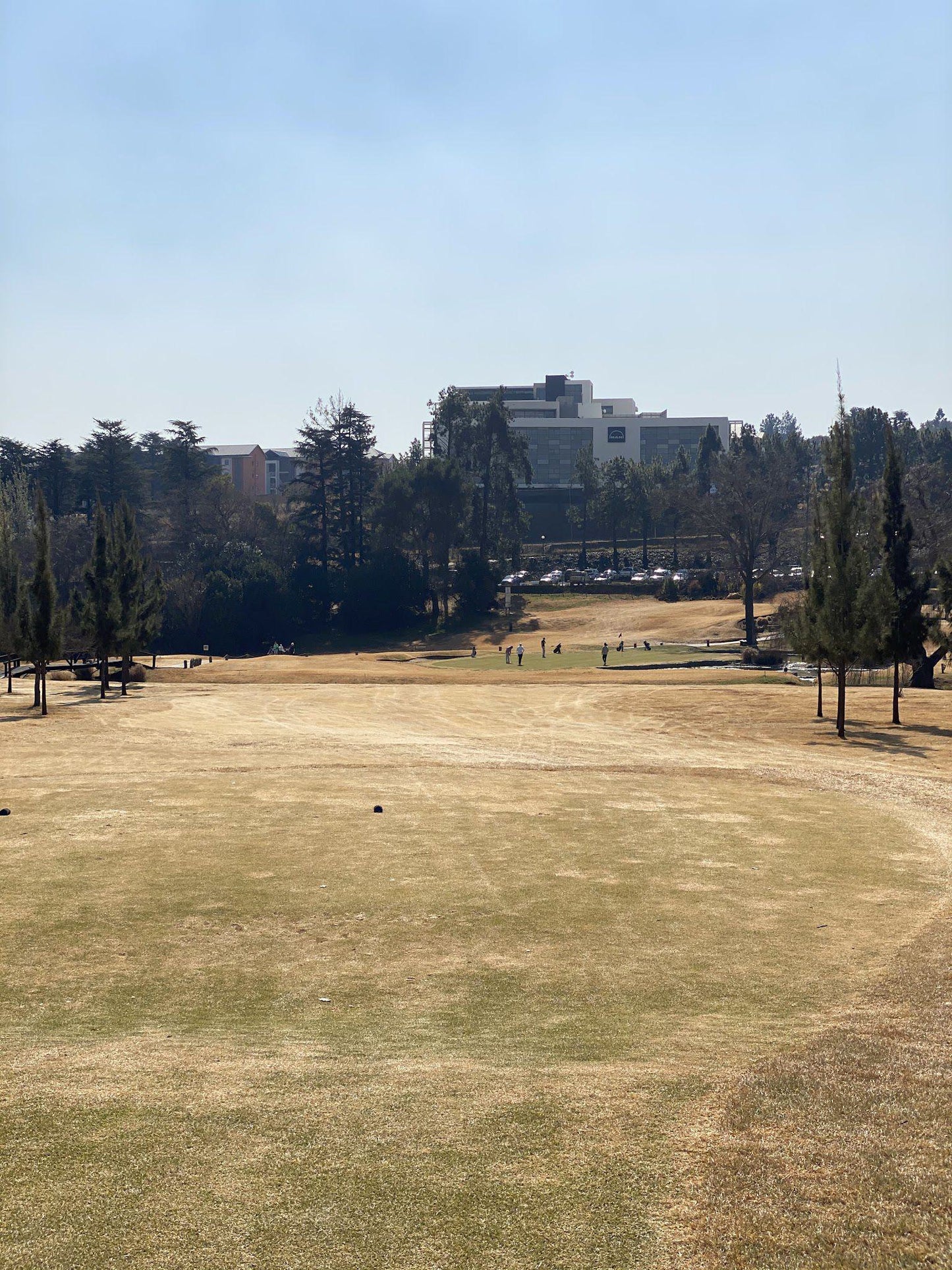 Complementary Colors, Ball Game, Sport, Golfing, Modderfontein Golf Club, 1 Centenary St, Modderfontein, Johannesburg, 1609