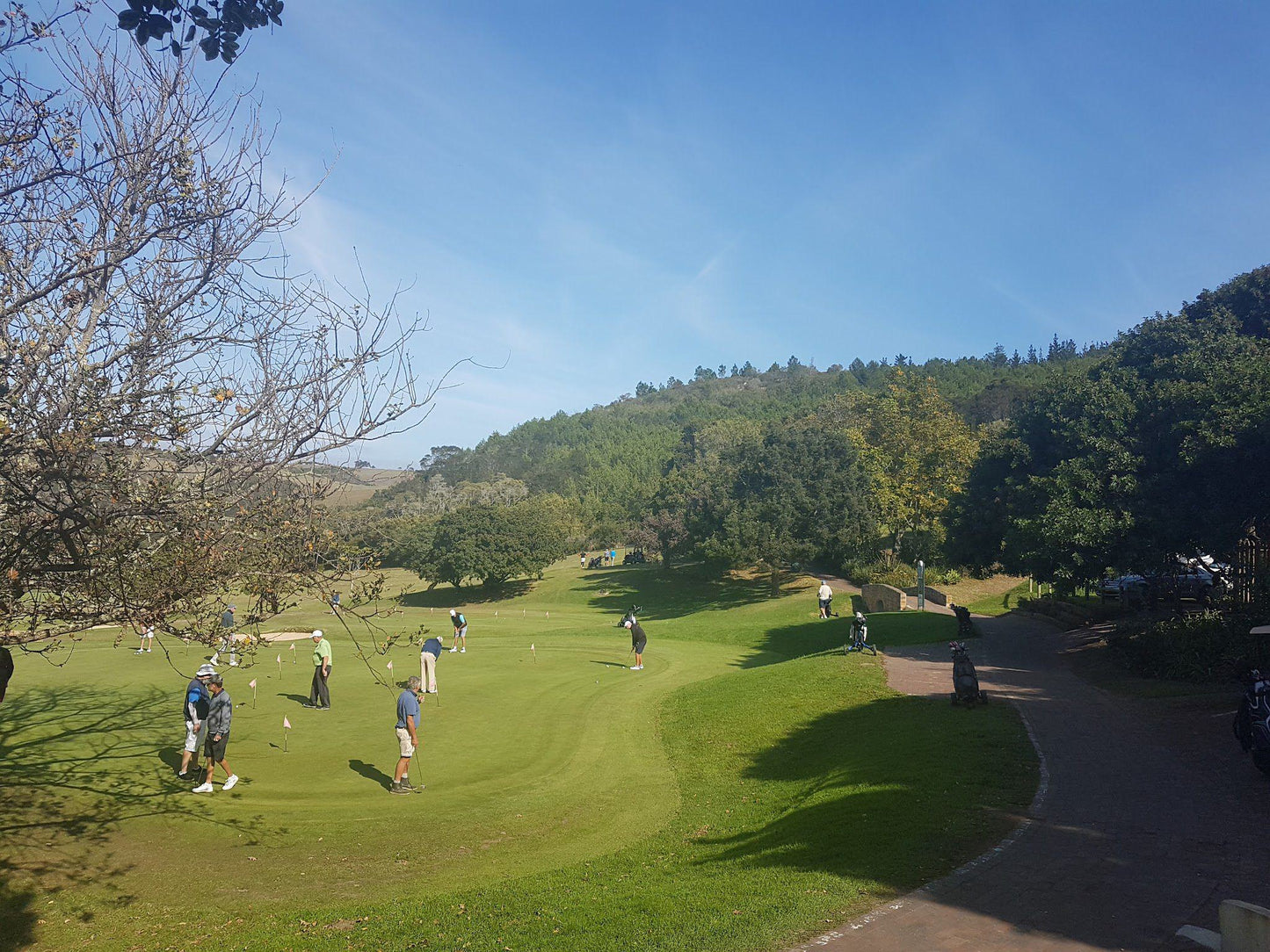 Complementary Colors, Ball Game, Sport, Golfing, Person, Plettenberg Bay Country Club, Plettenberg Bay, 6600