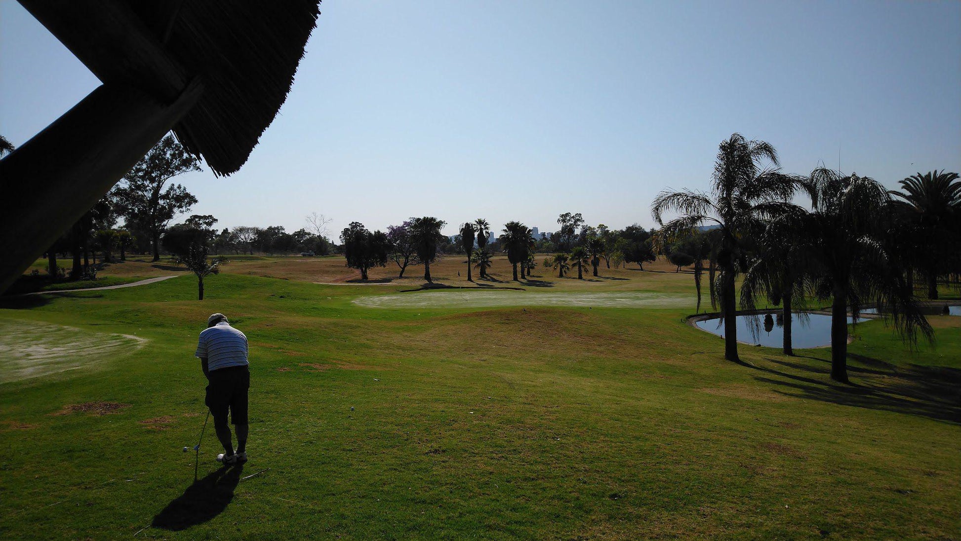 Complementary Colors, Ball Game, Sport, Golfing, Person, Pretoria Golf Club, Morkel St E, Philip Nel Park, Pretoria, 0029