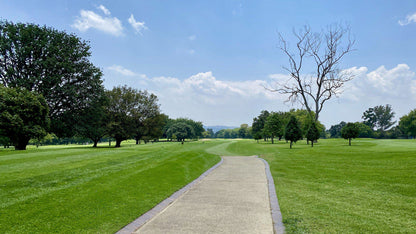 Complementary Colors, Ball Game, Sport, Golfing, Royal Johannesburg, 1 Fairway Ave, Linksfield North, Johannesburg, 2192