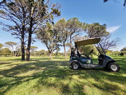 Complementary Colors, Ball Game, Sport, Golfing, Vehicle, King David Mowbray Golf Club, Raapenberg Rd, Mowbray, Cape Town, 7450
