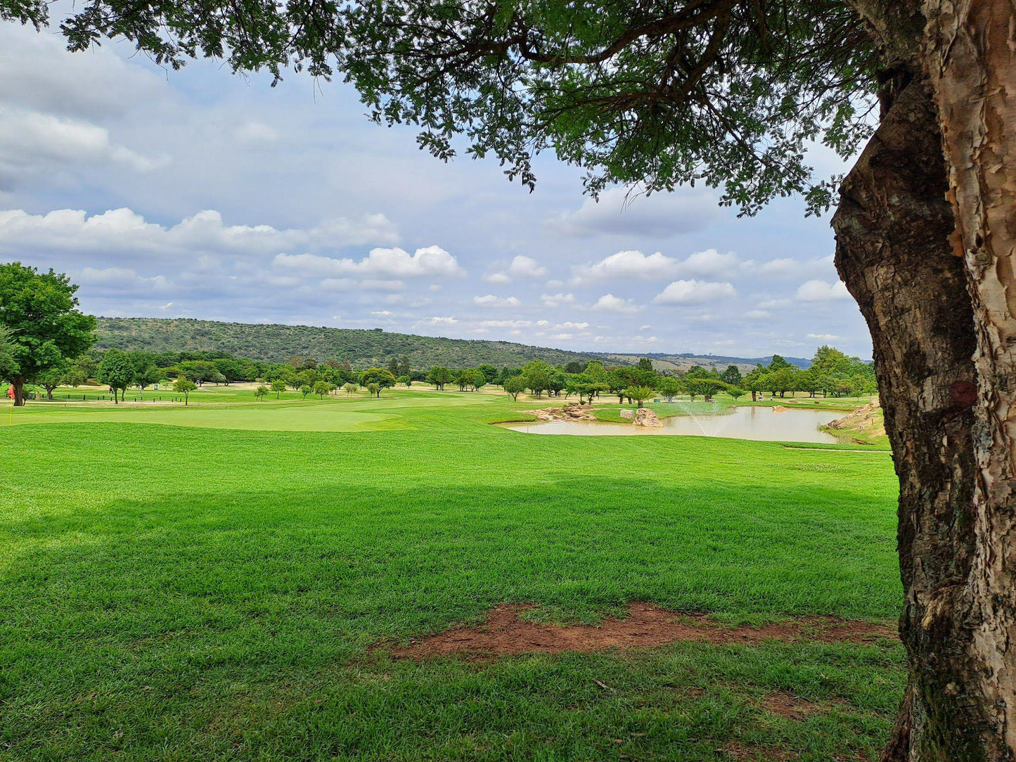 Complementary Colors, Ball Game, Sport, Golfing, Waterkloof Golf Club., Johan Rissik Drive Waterkloof, Eclipse Rd, Groenkloof 358-Jr, Pretoria, 0181