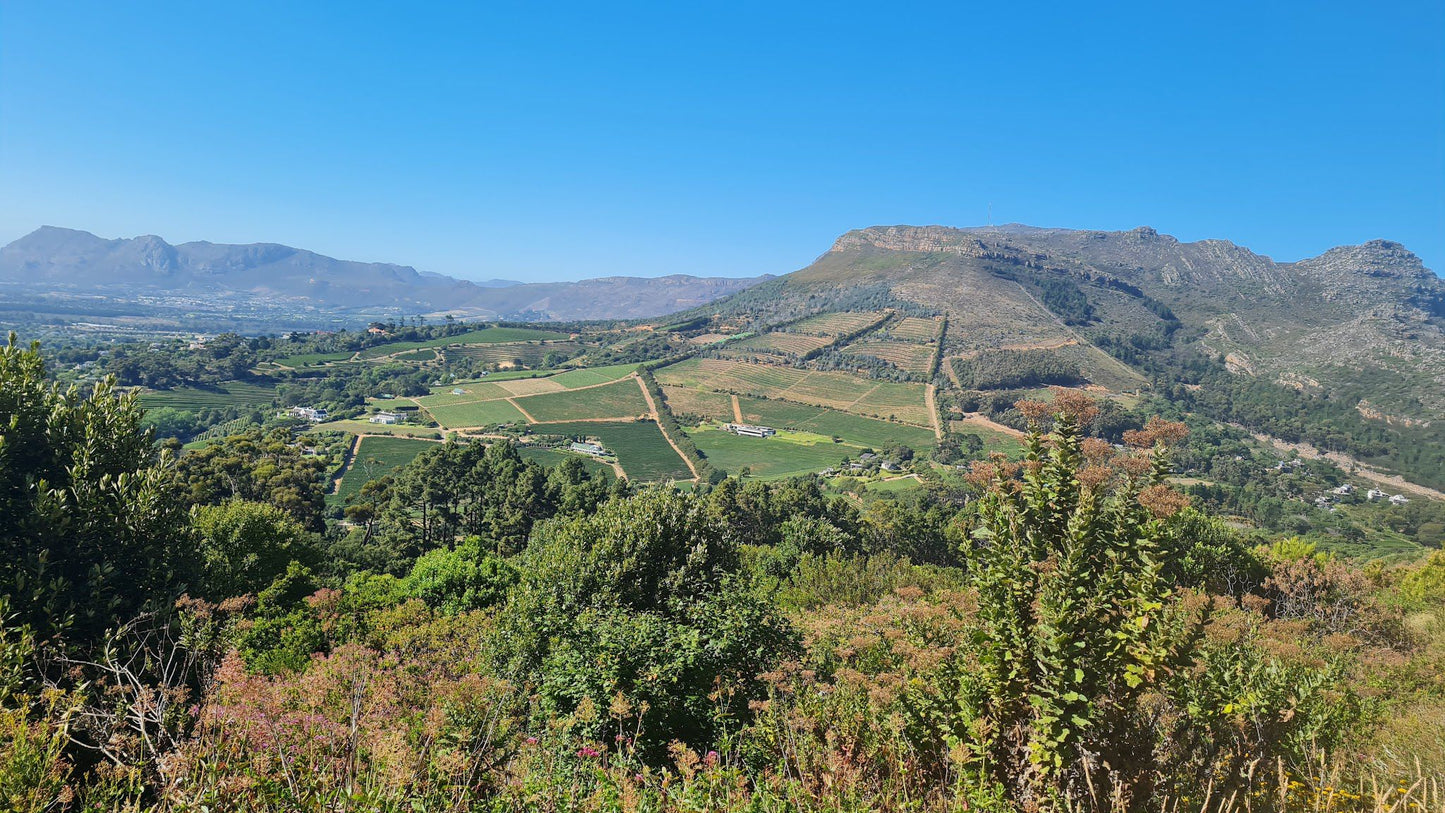 Constantia Nek Hiking Trail