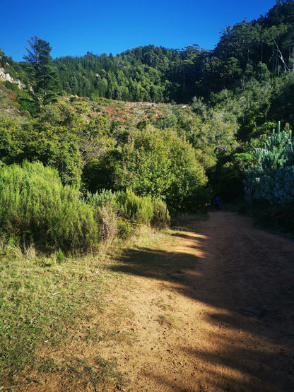 Constantia Nek Hiking Trail