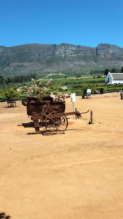  Constantia Uitsig Wine Estate