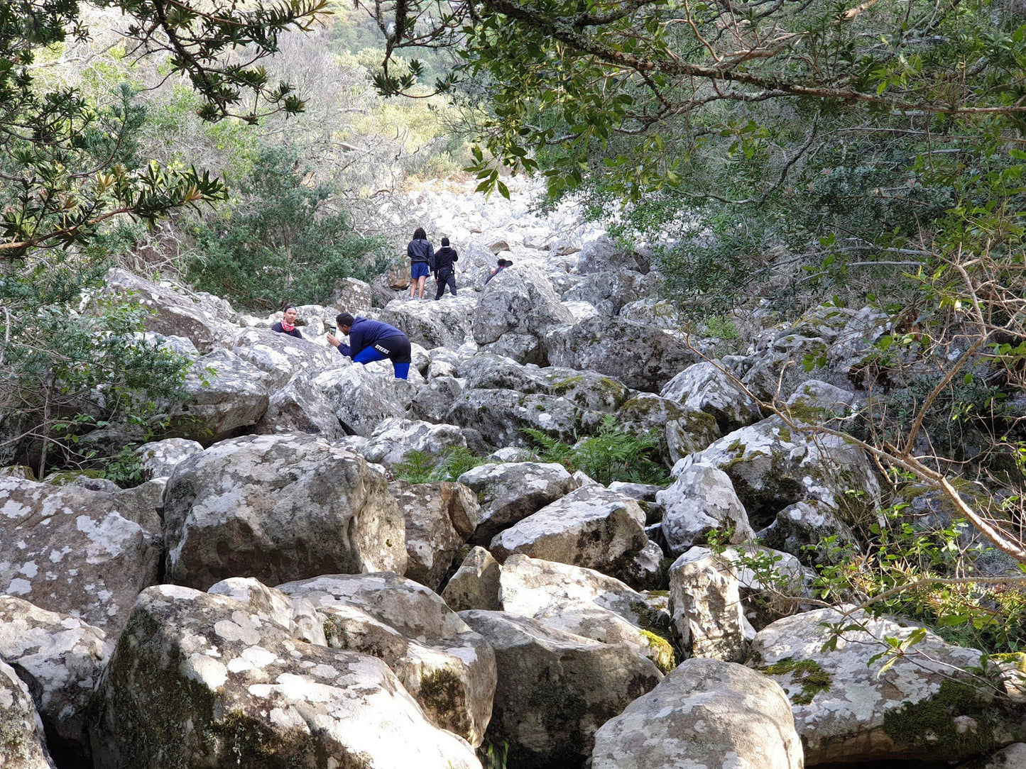 Contour Path Picnic Area (Carousel)