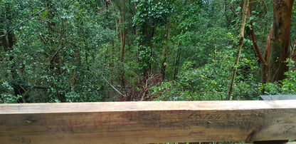 Contour Path Picnic Area (Carousel)