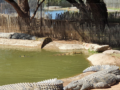  Croc City Crocodile & Reptile Park
