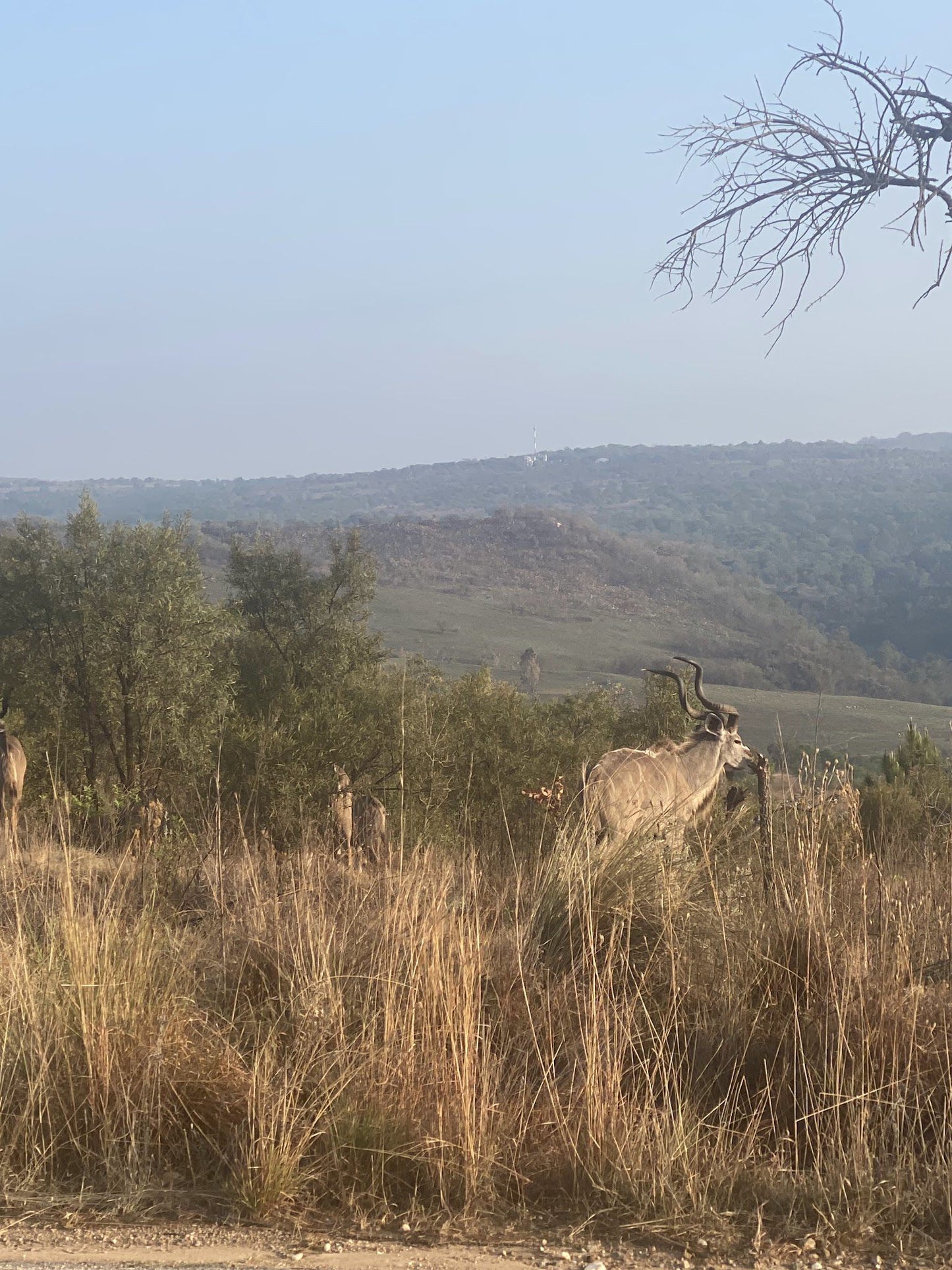  Crocodile River Reserve