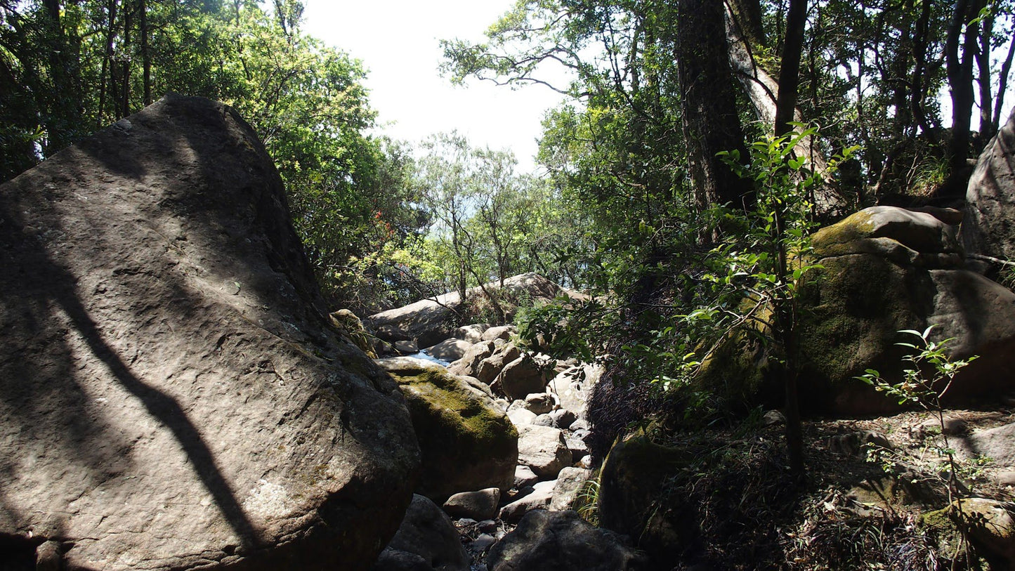 Crystal Falls