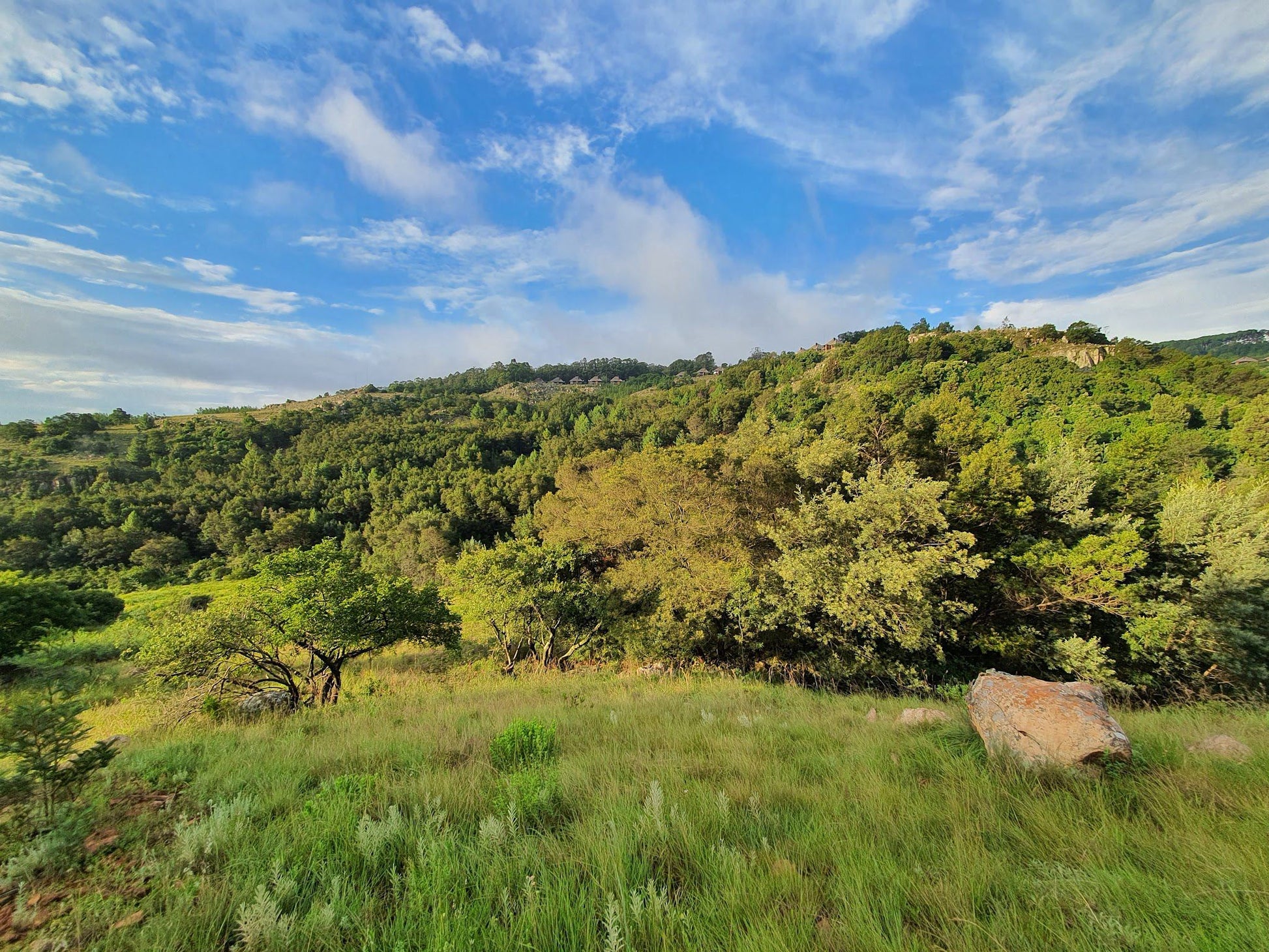  Crystal Springs Nature Reserve