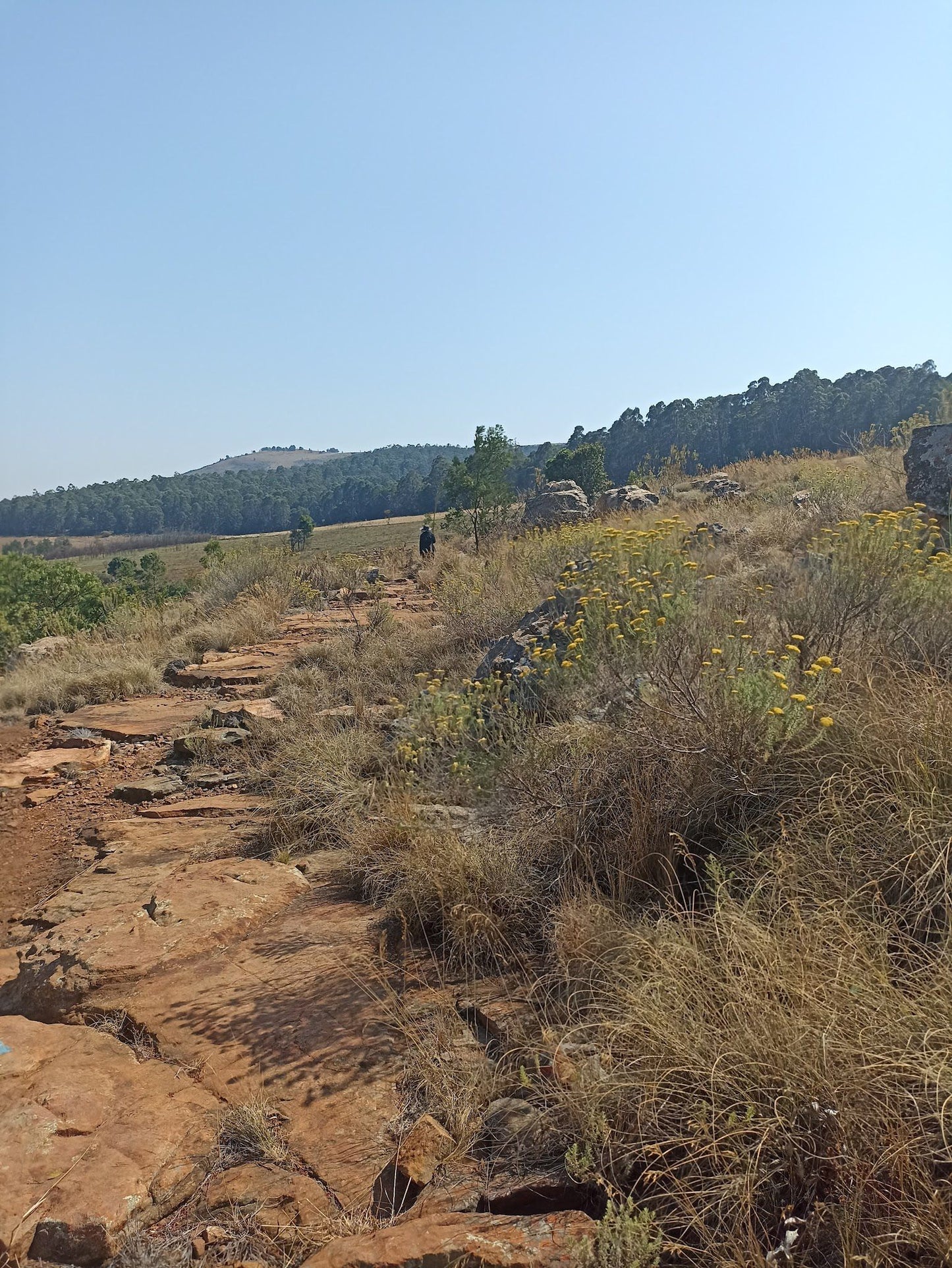  Crystal Springs Nature Reserve