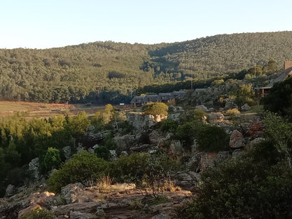  Crystal Springs Nature Reserve