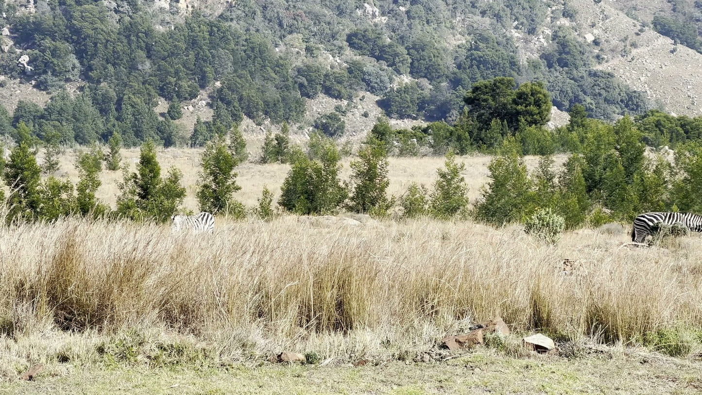  Crystal Springs Nature Reserve