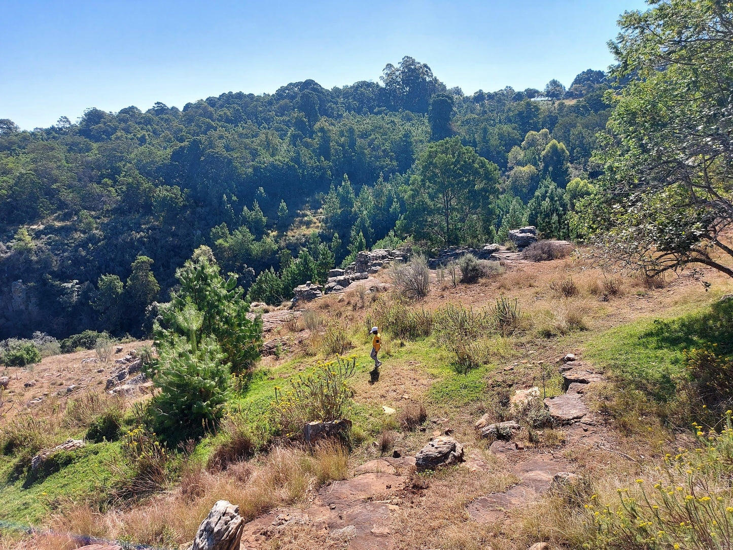  Crystal Springs Nature Reserve