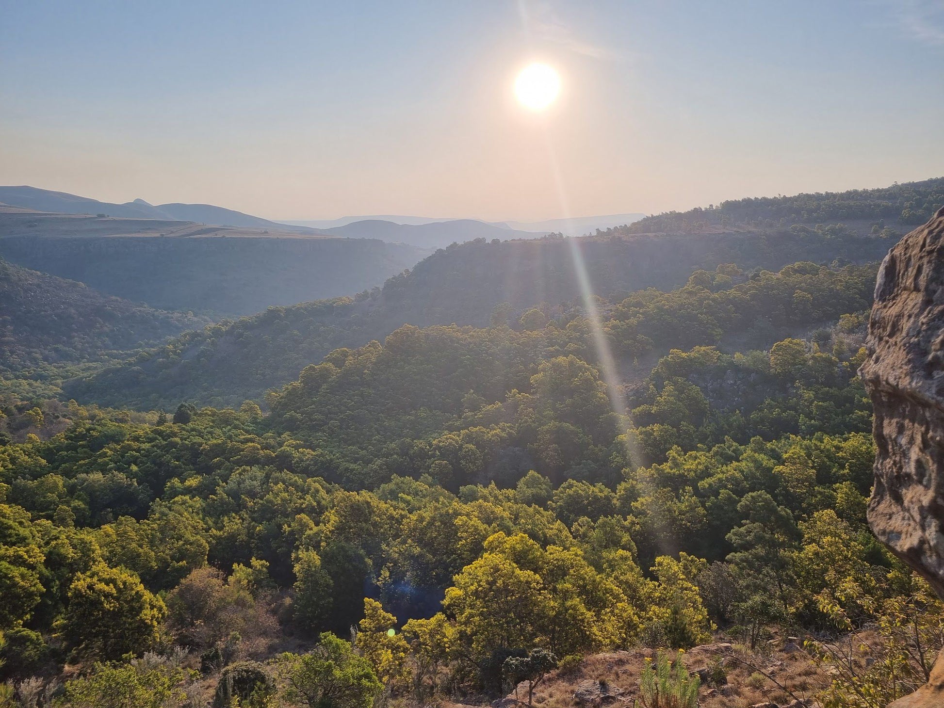  Crystal Springs Nature Reserve