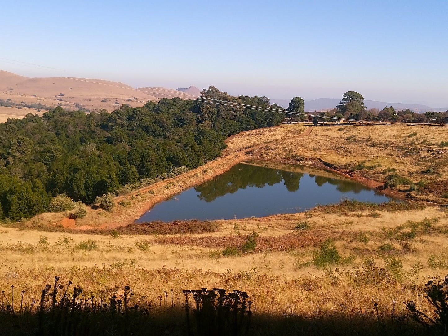  Crystal Springs Nature Reserve