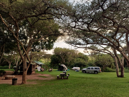  Cumberland Nature Reserve