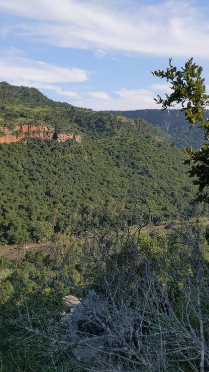  Cumberland Nature Reserve