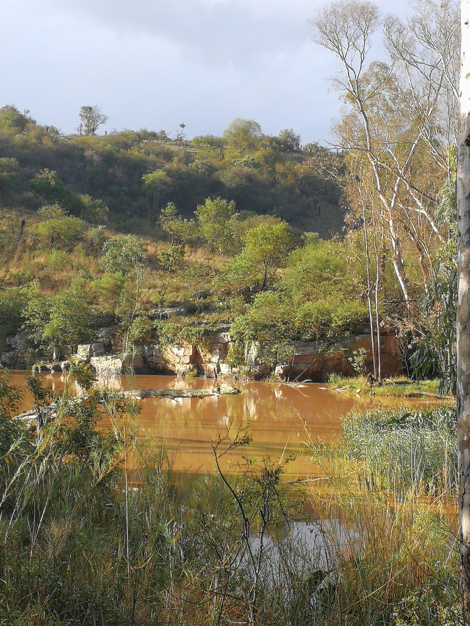  Cumberland Nature Reserve