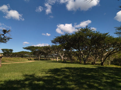  Cumberland Nature Reserve