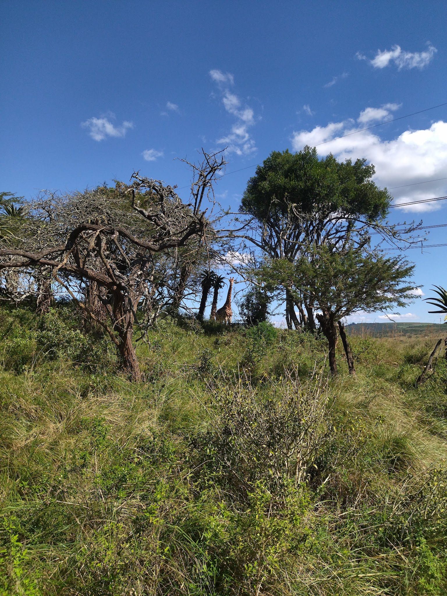  Cumberland Nature Reserve