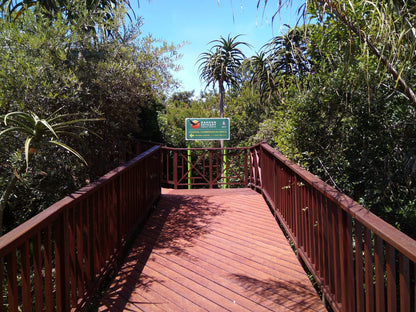  Dassie Trail