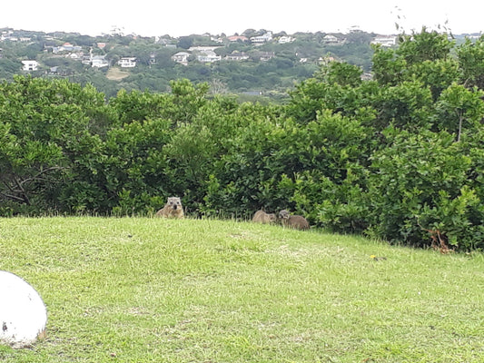  Dassie Trail