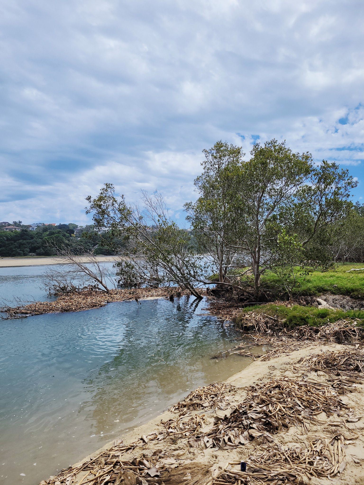  Dassie Trail