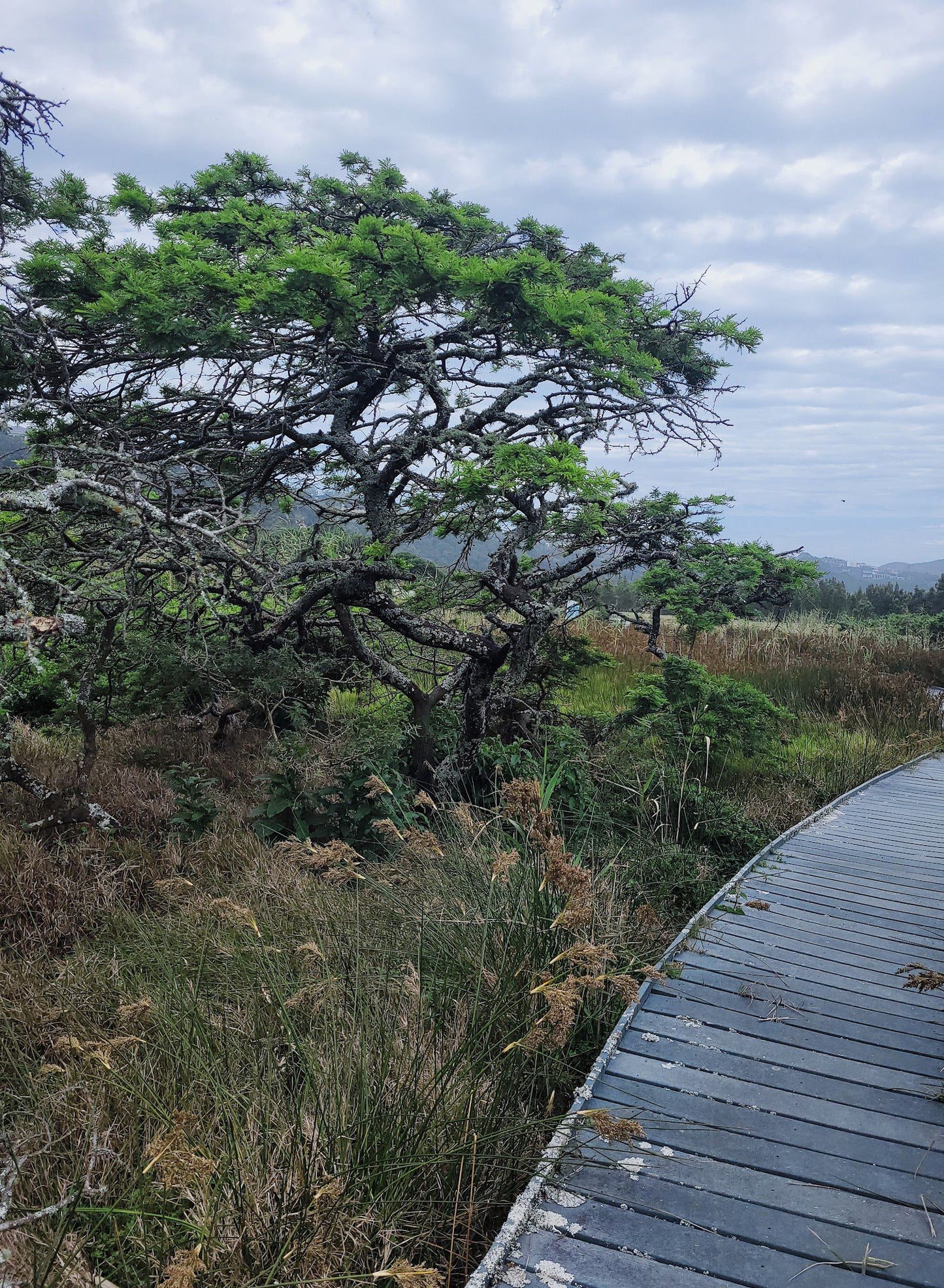  Dassie Trail