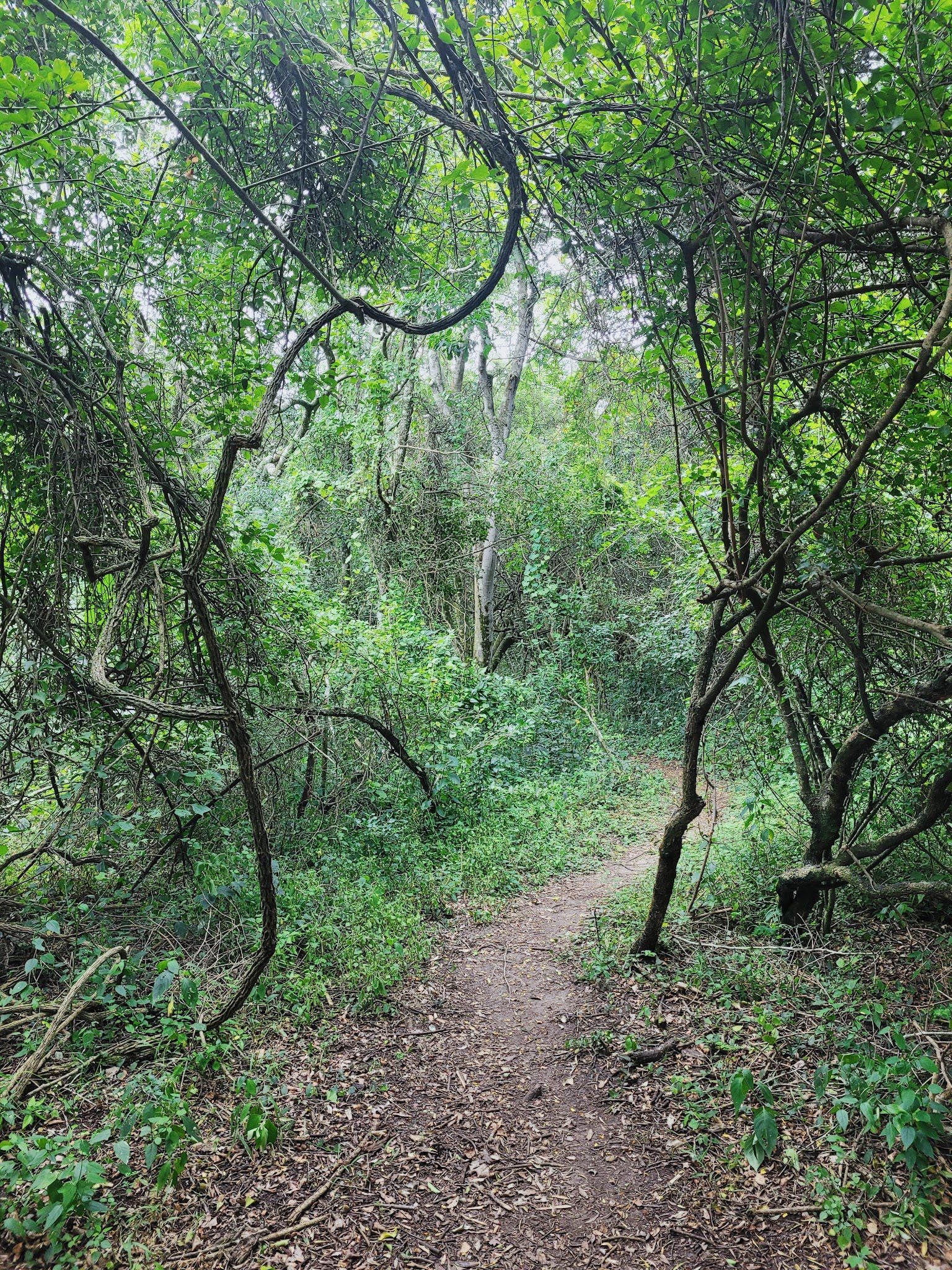  Dassie Trail