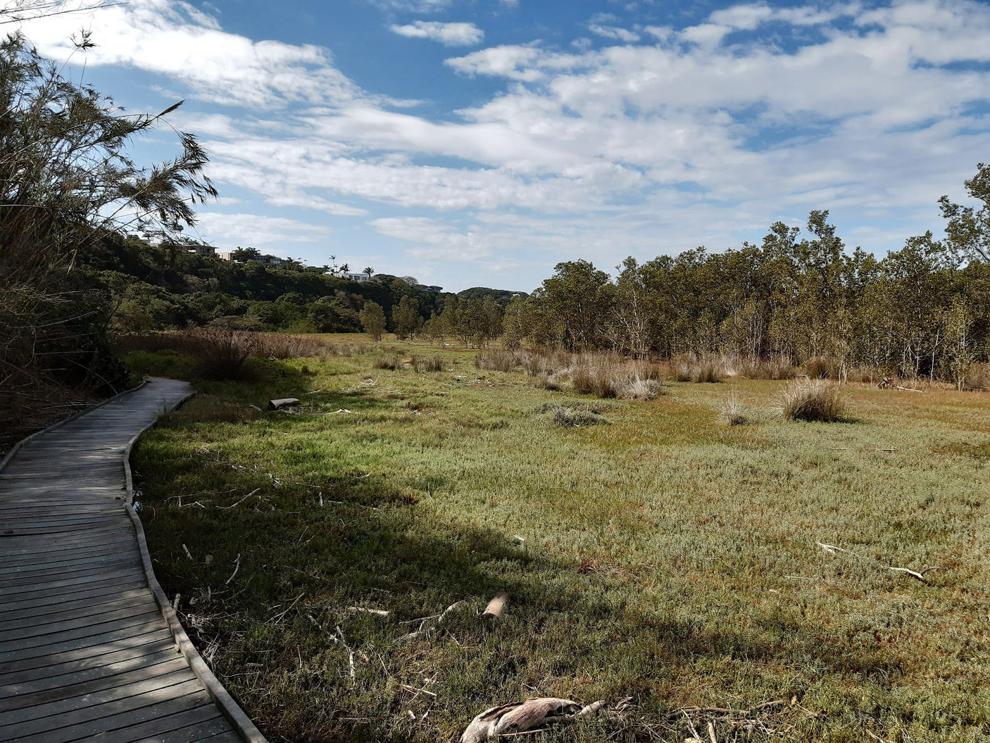  Dassie Trail