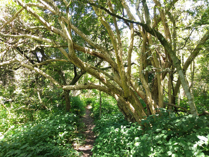  Dassie Trail