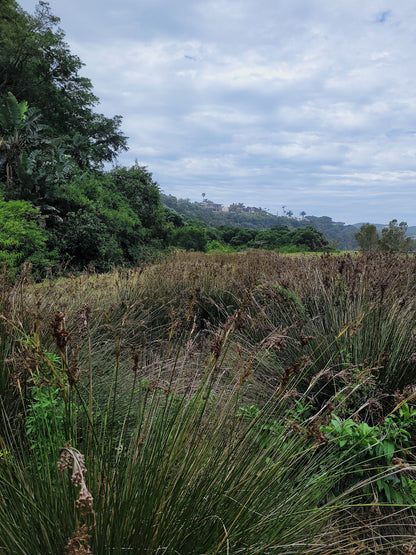  Dassie Trail