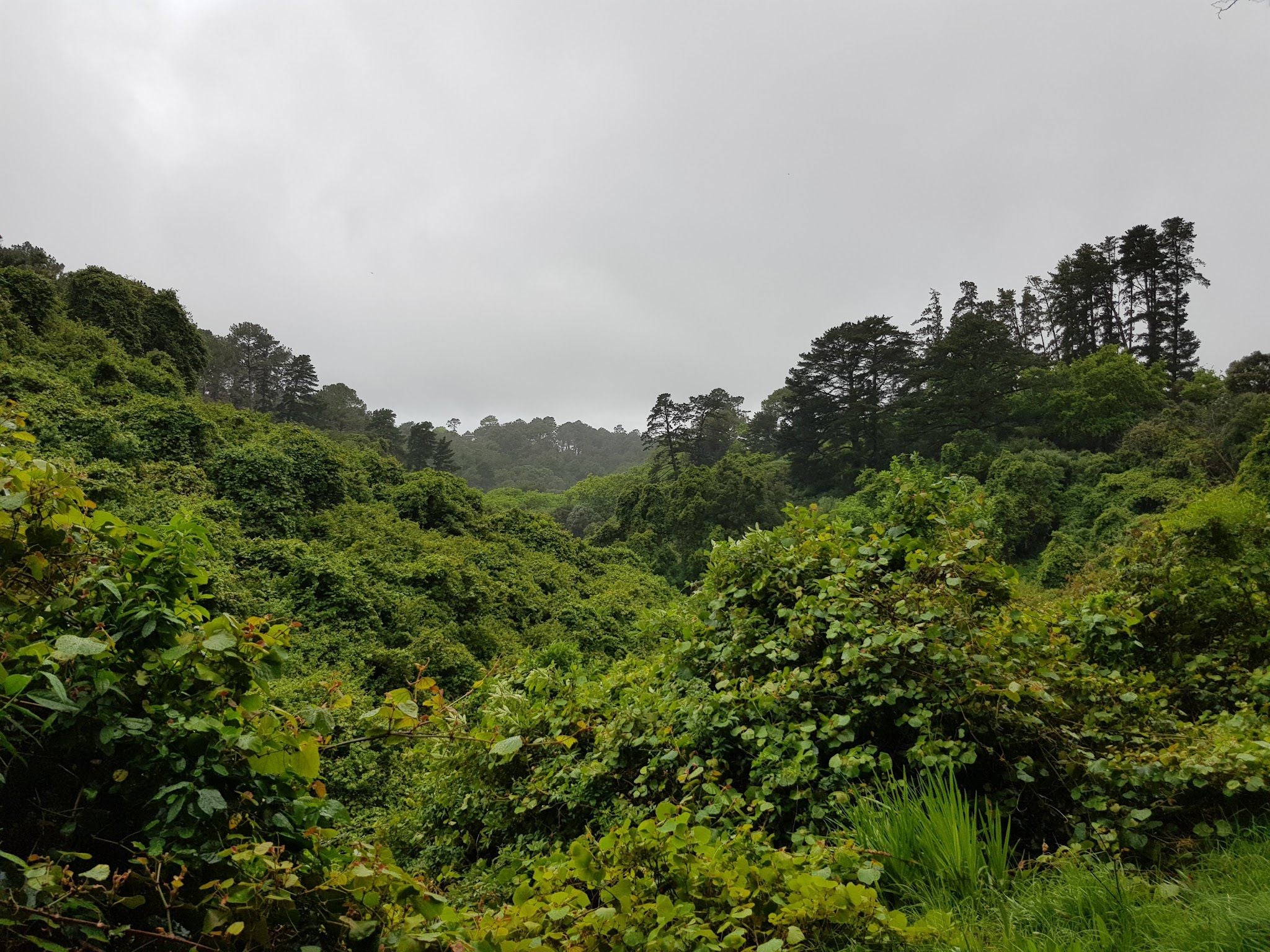  De Hel Nature Area