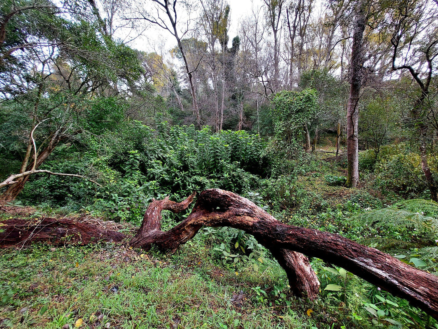  De Hel Nature Area