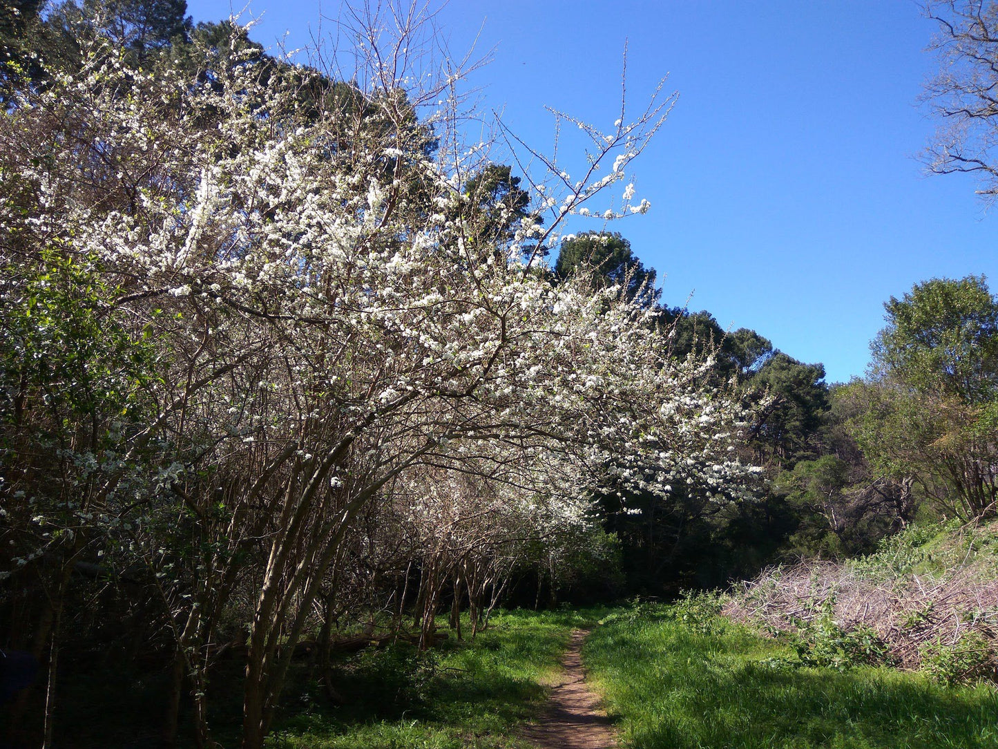  De Hel Nature Area