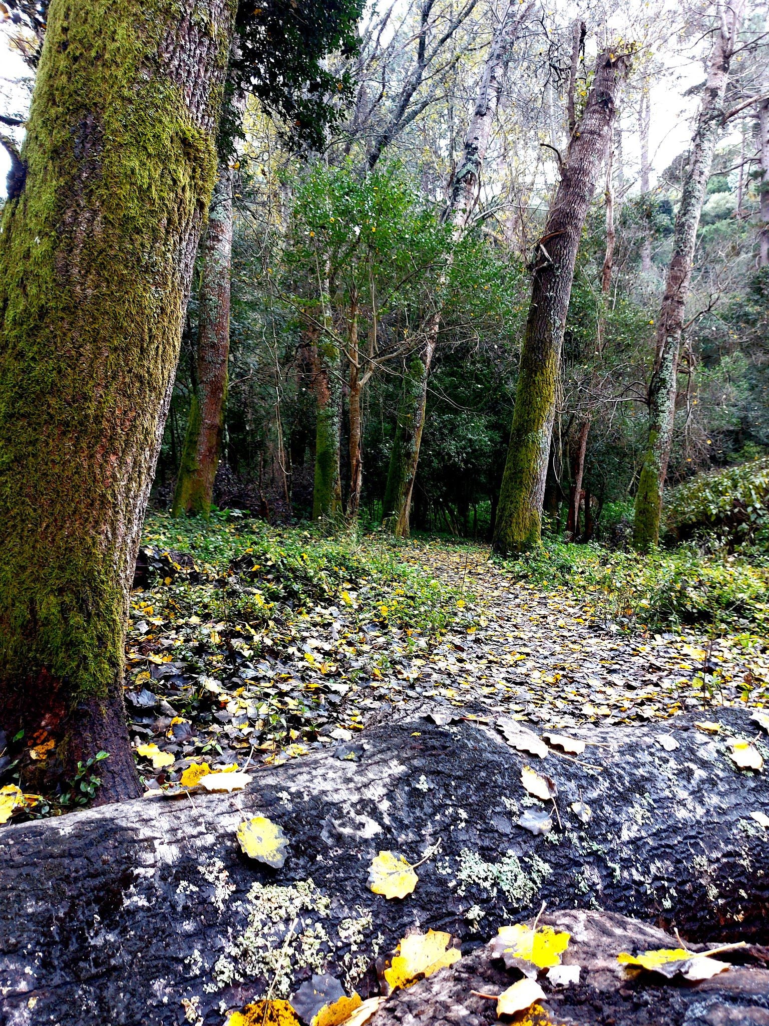  De Hel Nature Area