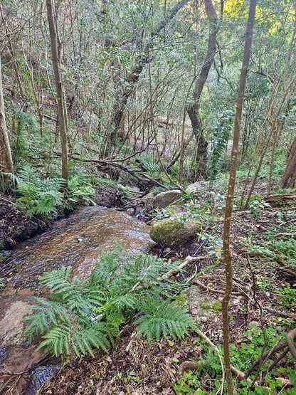  De Hel Nature Area