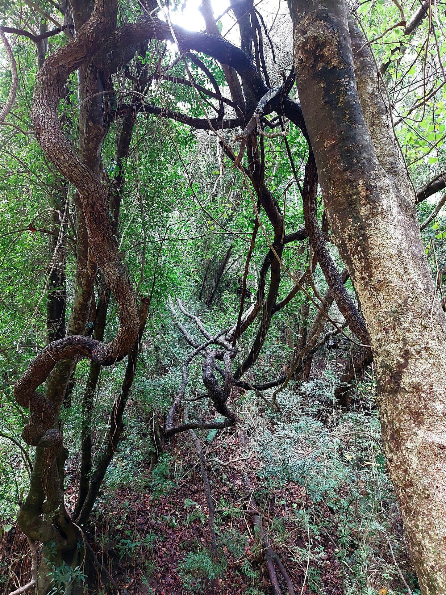  De Hel Nature Area