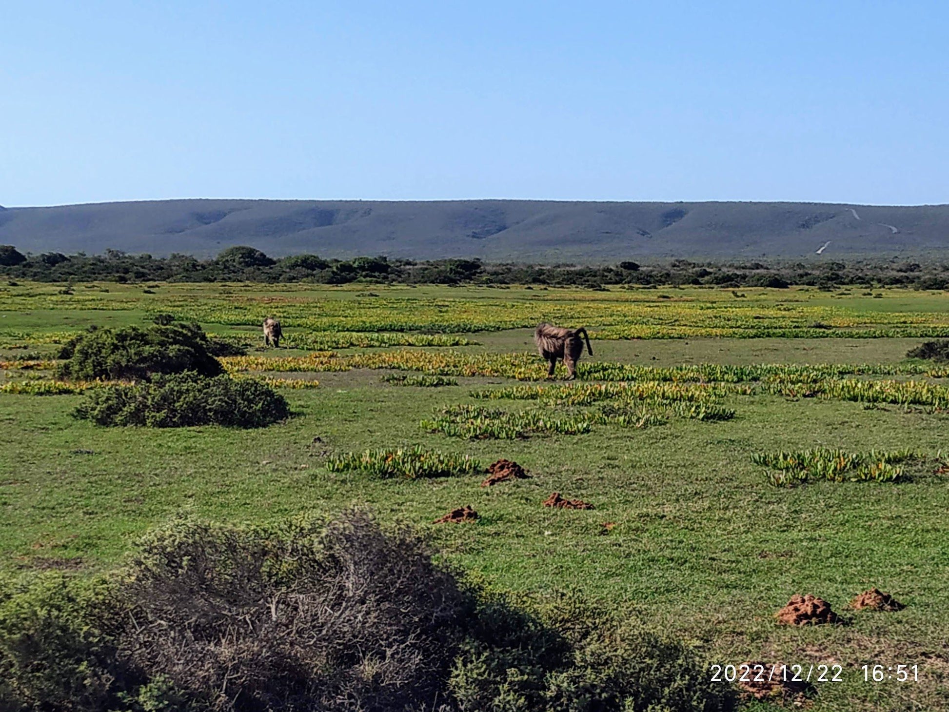  De Hoop Nature Reserve