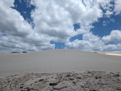  De Hoop Nature Reserve