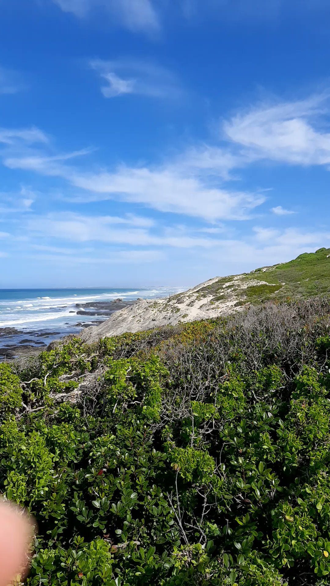  De Hoop Nature Reserve