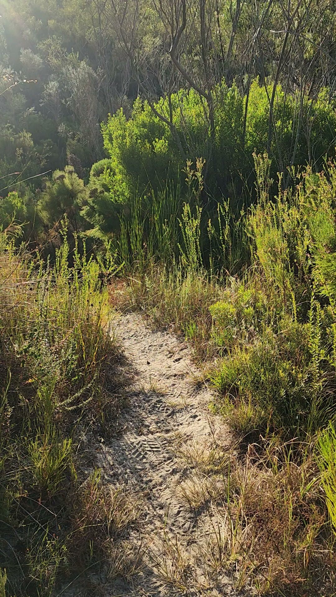  De Hoop Nature Reserve